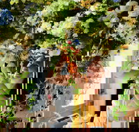 Robe Flower School - Accommodation Guide