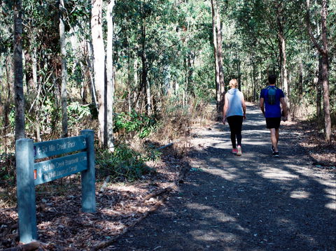 Six Mile Creek, Bluff Lookout And Little White Rock Trails - Accommodation Guide 2