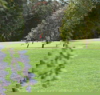 Springwood Country Club - Accommodation Guide