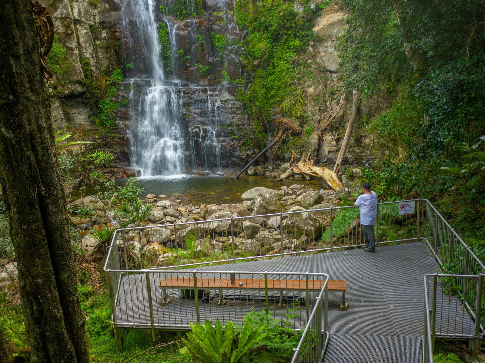 Budderoo NSW Accommodation Asia