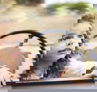 Toddler Thursdays at Werribee Open Range Zoo - Accommodation China