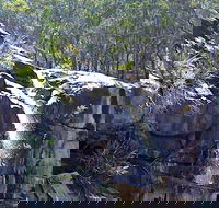 Ugly Corner Falls Walking Track - Accommodation Asia
