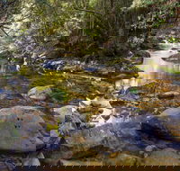 Washpool Walking Track - Accommodation Asia