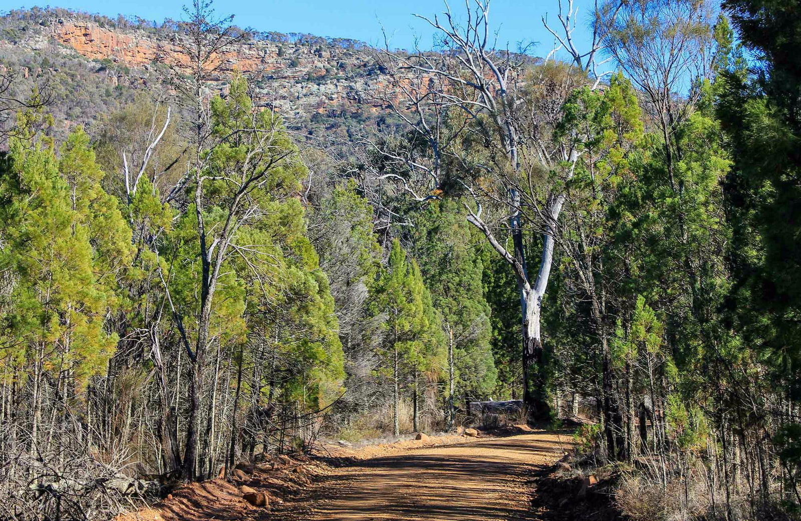 Accommodation Guide