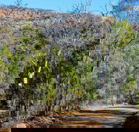 Weddin Gap to Black Spring Loop Trail - Accommodation Guide