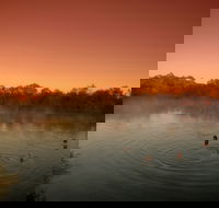 Witjira National Park - Accommodation Guide