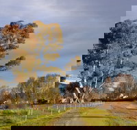 Adelong Falls Walk - Accommodation China