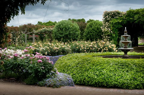 Alowyn Gardens And Nursery - Accommodation Asia 1