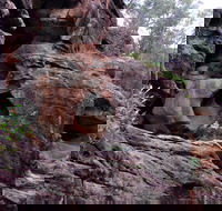 Bertha's Gully Walking Track - Accommodation Guide