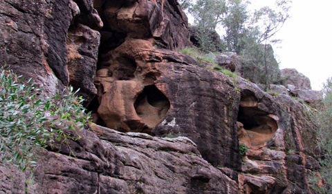 Bertha's Gully Walking Track - Accommodation Asia 0