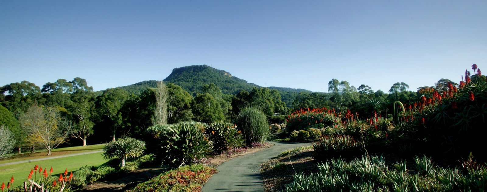 Keiraville NSW Accommodation China