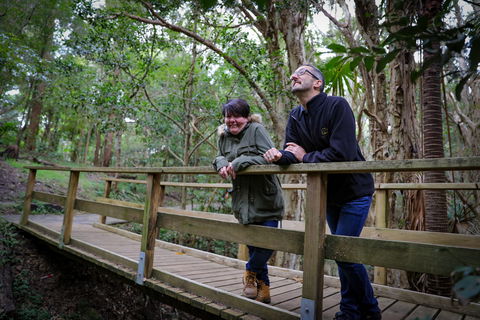 Botanic Garden, Wollongong - Accommodation China 1