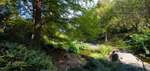Botanic Garden, Wollongong - Accommodation China 2