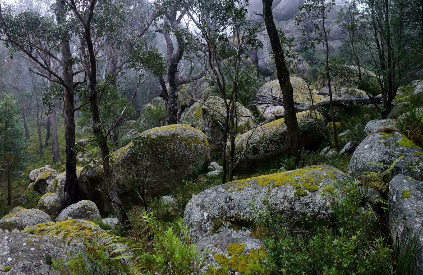 Bundarra NSW Accommodation Asia