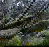 Cathedral Rock Track - Accommodation Asia