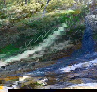 Charles Darwin walk - Accommodation Asia