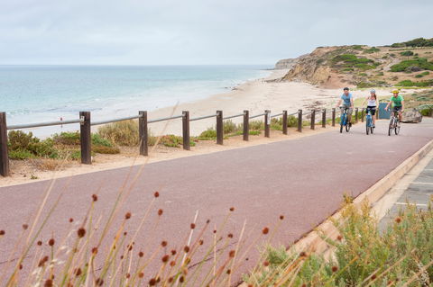 Coast To Vines Rail Trail - Accommodation Asia 0