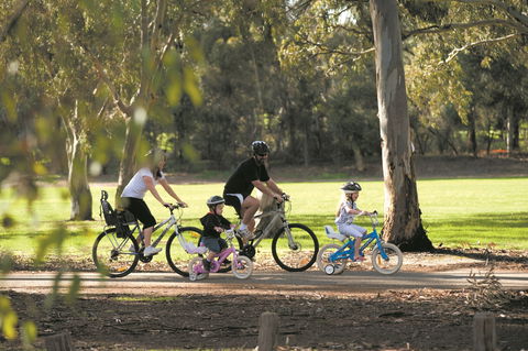 Coast To Vines Rail Trail - Accommodation Asia 1