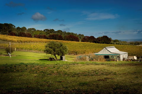 Coast To Vines Rail Trail - Accommodation Asia 2