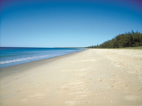 Coral Coast Pathways (Woodgate Beach Section) - Accommodation China 0