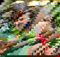 Currumbin Wildlife Sanctuary - Accommodation Guide