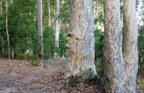 Delta Track - Accommodation Asia 0