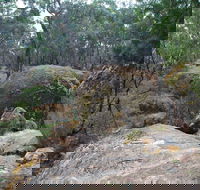 Dergholm State Park - Accommodation Guide