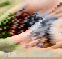 Eat Pick Grow Trail - Wanneroo and Chittering - Accommodation China