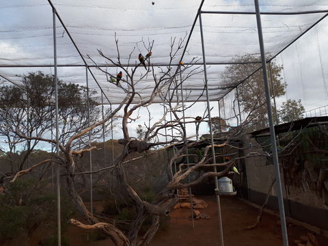Eyre Reptile & Wildlife Park - Accommodation Guide 2