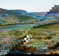 Farm Flavour Trail Chittering Valley - Accommodation China