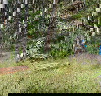 Federal Falls Walk - Accommodation Asia