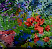 Ferry Artists Gallery - Accommodation China