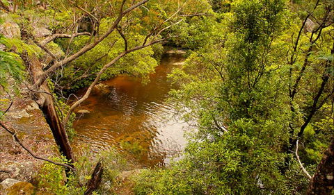 Girrakool Loop Track - Accommodation China 0