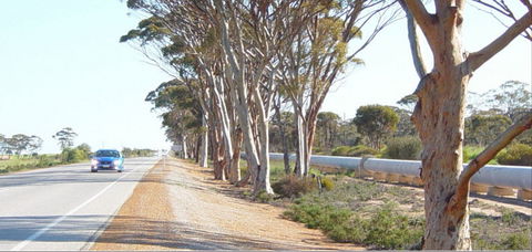 Golden Pipeline Heritage Trail - Accommodation Guide 0