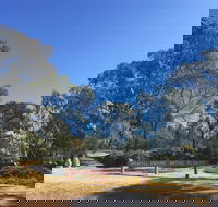 Grenfell Endemic Garden