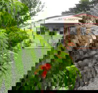 Gully Gardens - Accommodation Asia