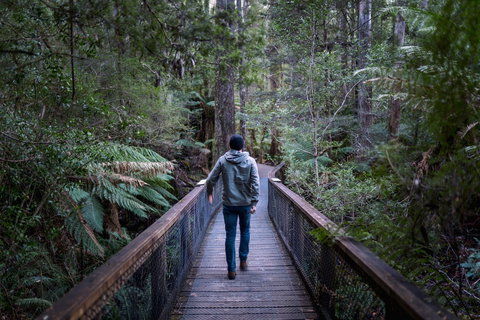 Hastings Caves And Thermal Springs - Accommodation China 1