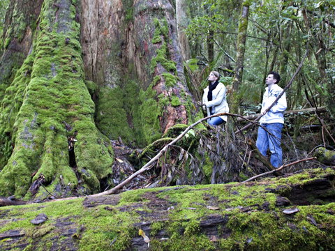 Hastings Caves And Thermal Springs - Accommodation China 2