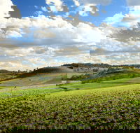 Hodgson Vale - Accommodation China