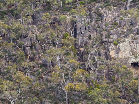 Horsnell Gully And Giles Conservation Parks - Accommodation Guide 0