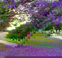 Howe Park - Accommodation China