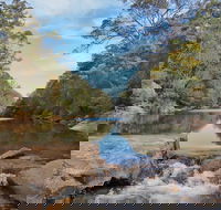 Ingleburn Reserve - Accommodation Guide