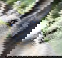 John Egan Pioneer Track - Accommodation Guide