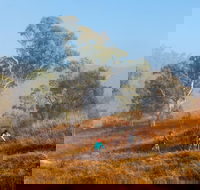 Kambah Pool to Pine Island Walking Trail - Accommodation Asia