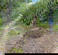 Kangaroo River Walking Track - Accommodation Asia