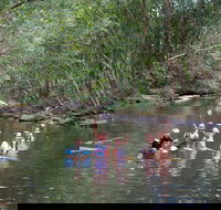 Kerewong State Forest - Accommodation Guide