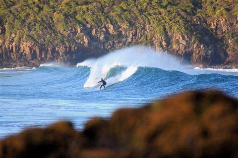 Killalea Reserve - Accommodation Guide 1