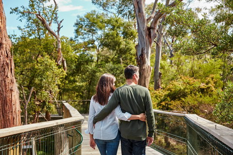 Koala Conservation Reserve - Accommodation Guide 2