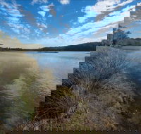 Lake Innes Nature Reserve - Accommodation Guide