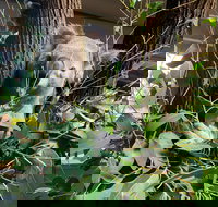 Macadamia Castle - Accommodation China